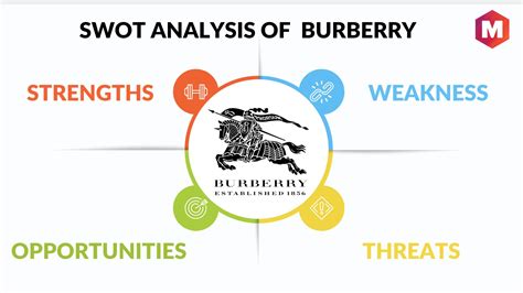 burberry swot